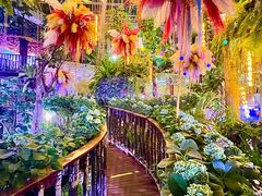 -正佳雨林生态植物园