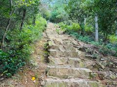 -树山生态村