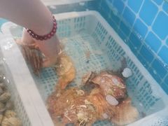 -锅老头铁锅炖•大锅蒸汽海鲜(韩乐坊店)