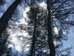 -驼梁风景区