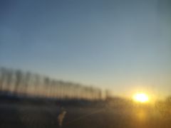 -山河屯铁锅炖(哈西站店)