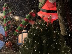 -Supine Bistro溯泮餐厅