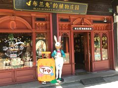 -布兰兔的植物庄园(杭州南宋御街店)