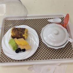 -维倪月子会所(独栋庭院·南海店)