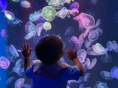 -海合安成都极地海洋公园