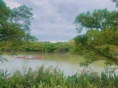 -江心屿景区