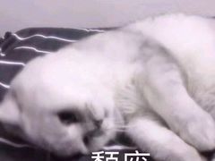 -武松家(丰益桥店)