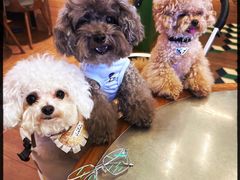 -潮界(凯德晶萃店)