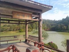 -广州白江湖森林公园