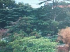 酒店3-上海瑞金洲际酒店