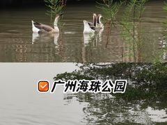 -海珠湖公园