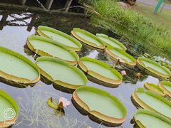 -花味·自助烤肉(雨花客厅店)