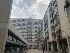 -彩虹村