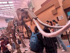 -陕西自然博物馆