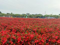-盈香心动乐园
