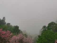 -常德桃花源景区