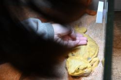 -Zoolung Zoolung动物主题公园(海信广场店)