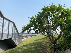 -情侣路