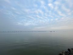 -大湾区中央湿地公园