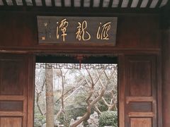 -汇龙潭
