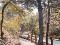 -山叶口景区