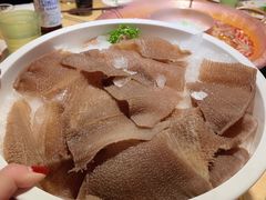 鲜毛肚-老版火锅(半坡店)