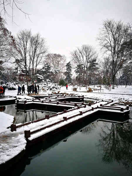樱洲-"南京可逛的地方太多了,这个是去年三月拍的."-大众点评移动版