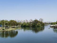 -新江湾城公园