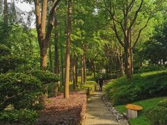 -陈家山荷花公园