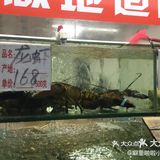 北海有海也有美食，必吃攻略不要错过！
