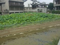 -龙潭水乡