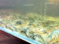 -白仁仔· 活烤海鲜 宵夜(豫园店)