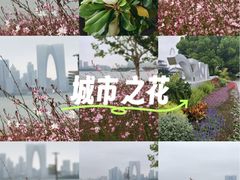 -金鸡湖景区