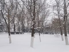 -长白岛森林公园