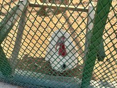 -清风小镇闯关东影视基地