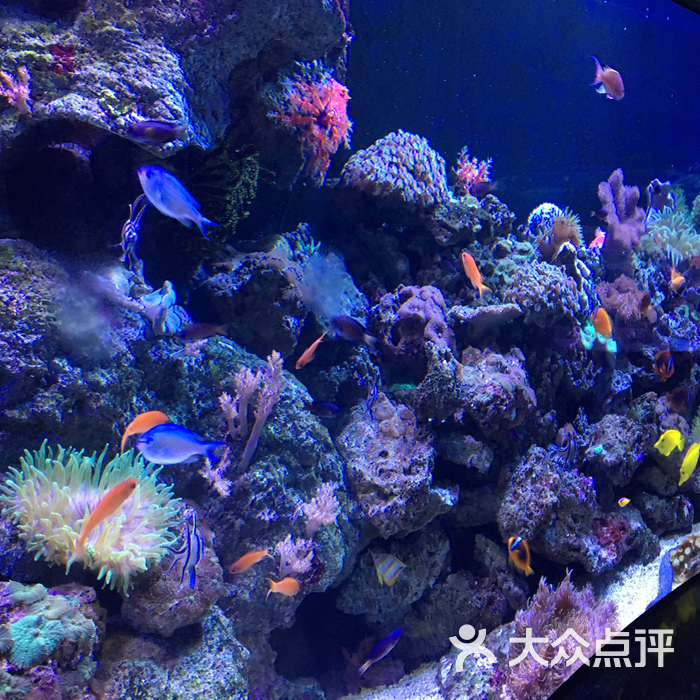 海濱城浩海立方海洋館