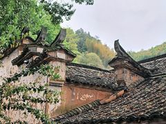 -杨家堂村
