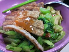 猪排饭-中央财经大学-食堂
