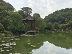 -云溪植物园