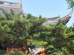 -龙华寺