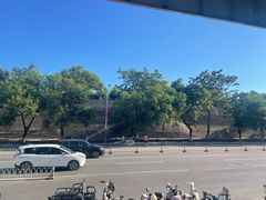 -保定市动物园