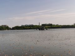 -大兴滨河森林公园