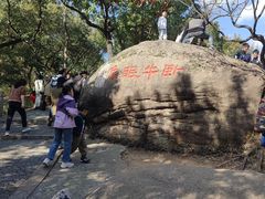 -灵岩山风景区