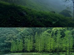 -广州市石门国家森林公园