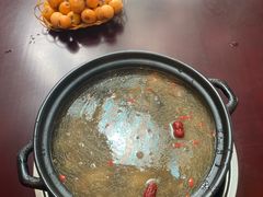 -蘑统田下·野生菌火锅