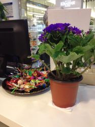 店内环境-DRG达人馆造型