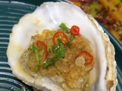 -小海丁