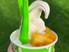 -Salud撒露欧洲冻酸奶(蓝色港湾店)