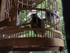 -观桥阁(锦溪店)