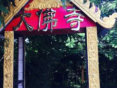 -西双版纳勐泐文化旅游区